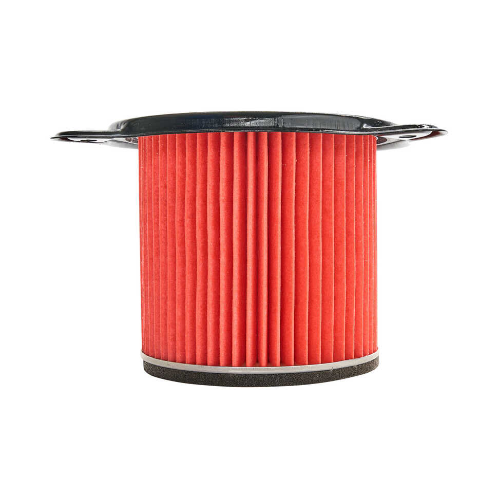 Air Filter / 17230-MS6-920